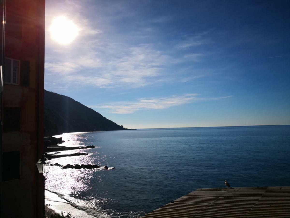 Le Finestre Sul Mare Διαμέρισμα Camogli Εξωτερικό φωτογραφία