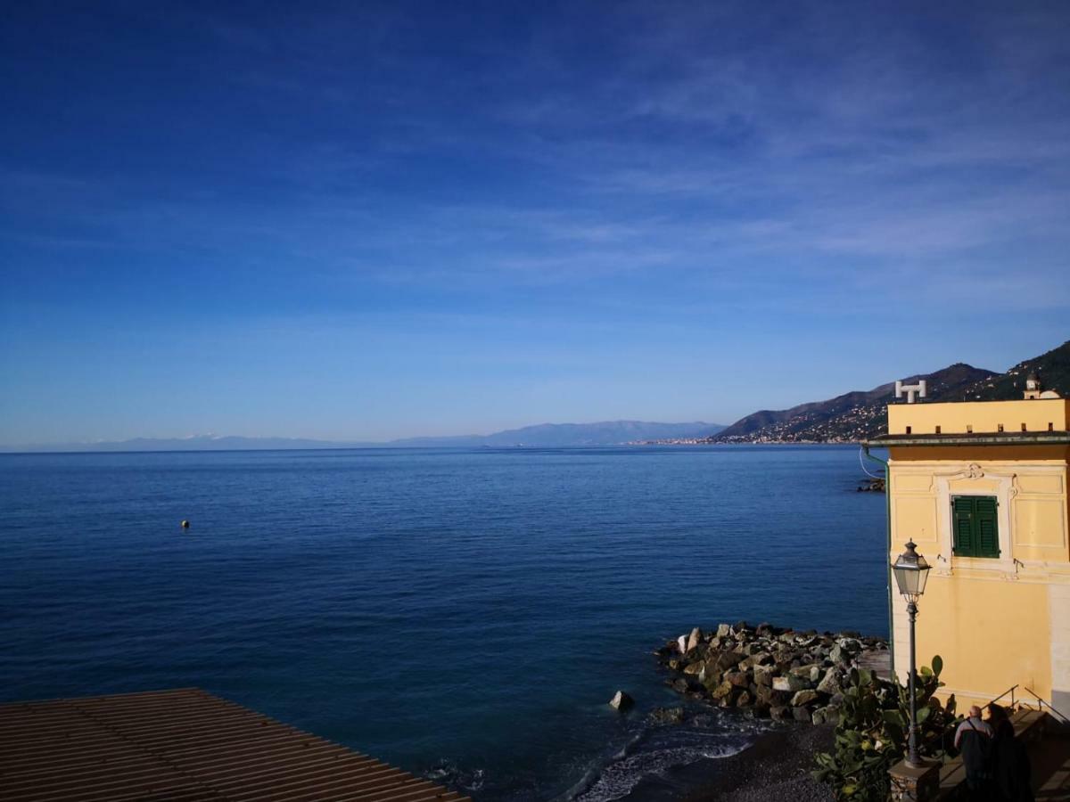 Le Finestre Sul Mare Διαμέρισμα Camogli Εξωτερικό φωτογραφία